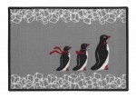 Pinguins-50x70